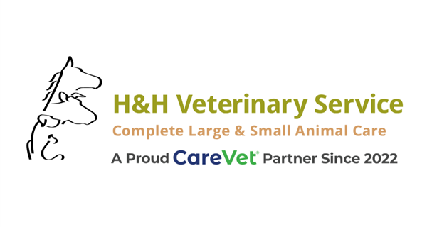 H & H Veterinary Service