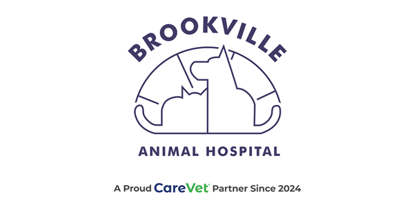 Brookville Animal Hospital