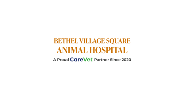 Bethel Village Square Animal Hospital