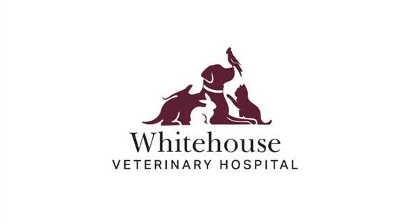 Whitehouse Veterinary Hospital