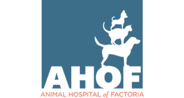 Animal Hospital of Factoria