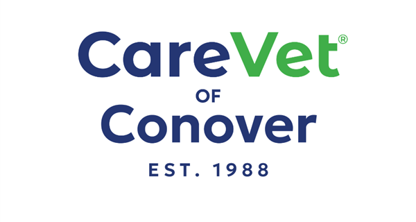 CareVet of Conover