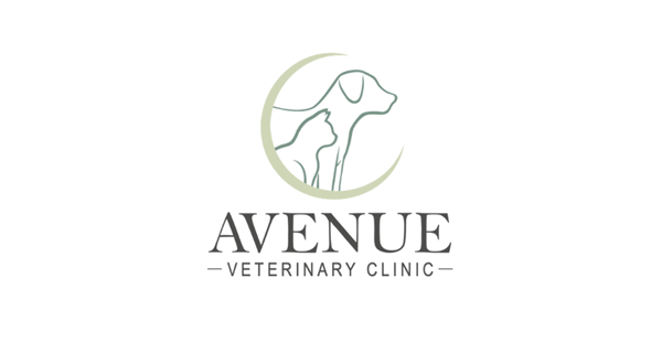 Avenue Veterinary Clinic