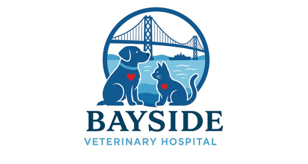 Bayside Veterinary Hospital