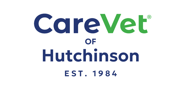 CareVet of Hutchinson