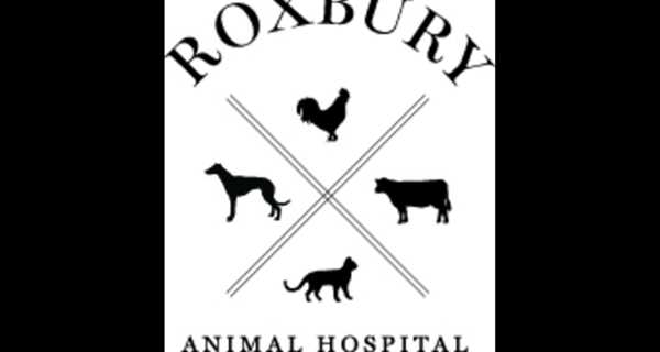 Roxbury Animal Hospital