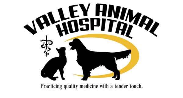 Valley Animal Hospital LLC