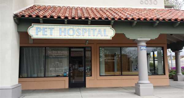 The Pet Hospital of Tierrasanta
