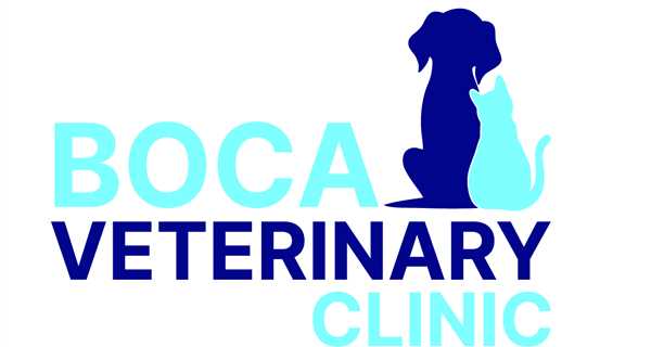 Boca Veterinary Clinic