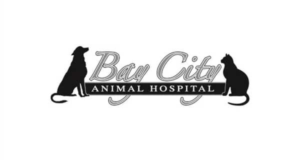 Bay City Animal Hospital