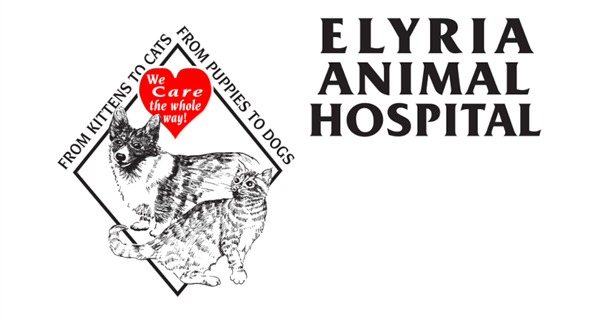 Elyria Animal Hospital