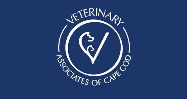 Veterinary Associates of Cape Cod