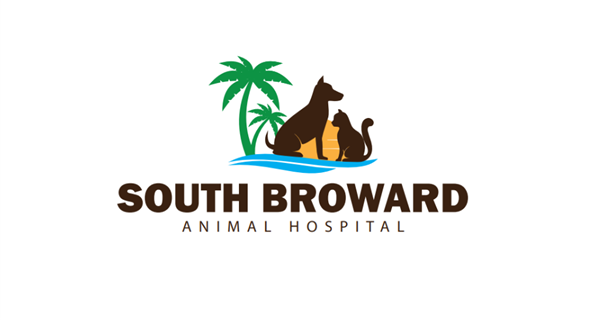 South Broward Animal Hospital