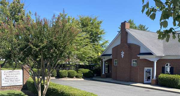 Carolinas Veterinary Medical Hospital