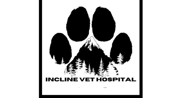 Incline Veterinary Hospital