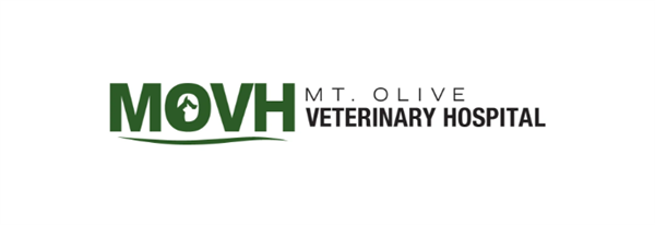 Mt. Olive Veterinary Hospital