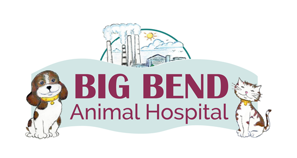 Big Bend Animal Hospital Inc