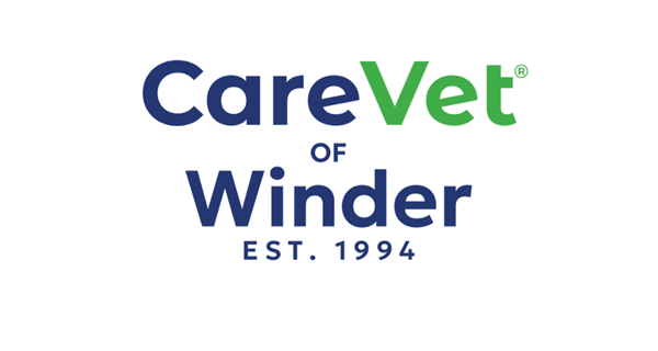 CareVet of Winder