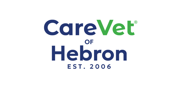 CareVet of Hebron