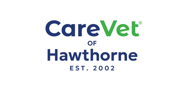 CareVet of Hawthorne 