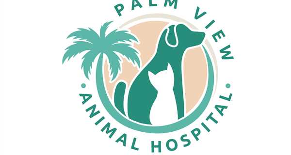 Palm View Animal Hospital