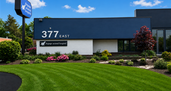 DuPage Animal Hospital