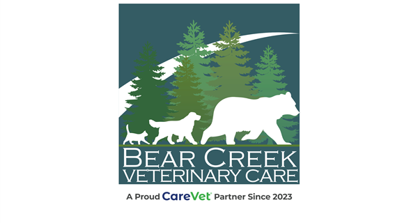 Bear Creek Veterinary Care