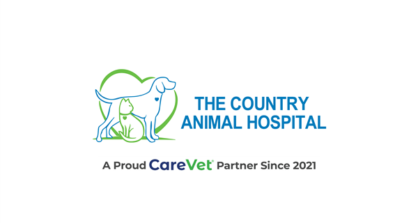 The Country Animal Hospital