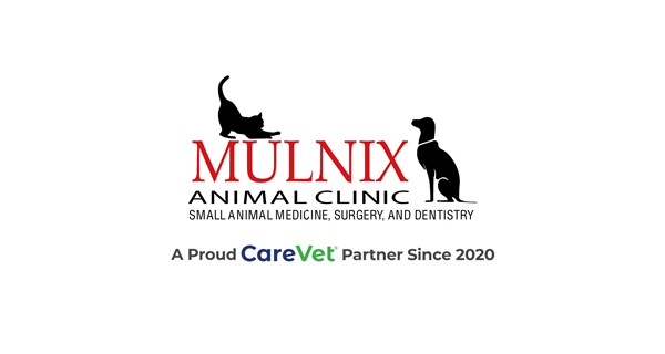 Mulnix Animal Clinic
