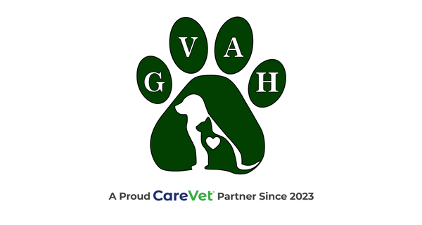 Green Valley Animal Hospital