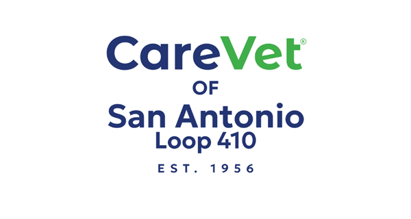 CareVet of San Antonio - Loop 410