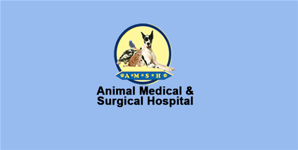 Animal Medical and Surgical Hospital East