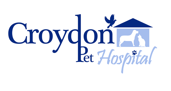 Croydon Pet Hospital