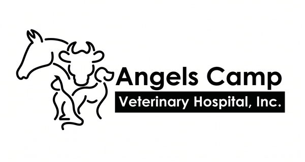 Angels Camp Veterinary Hospital