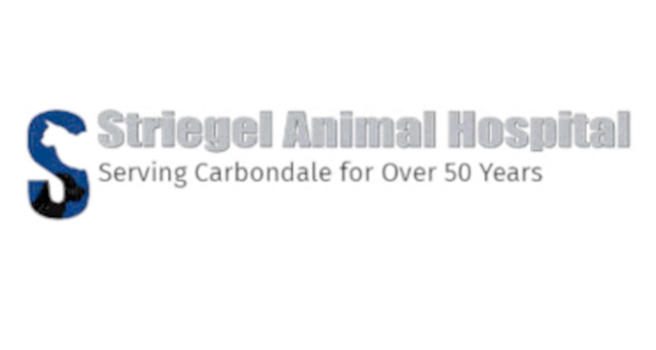 Striegel Animal Hospital