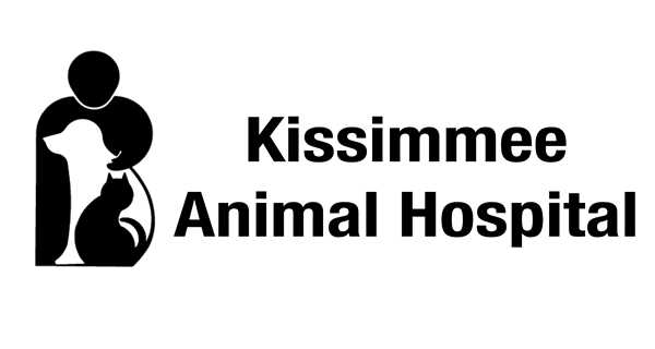 Kissimmee Animal Hospital