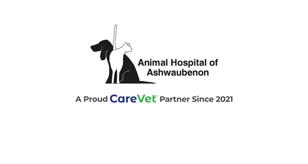 Animal Hospital of Ashwaubenon