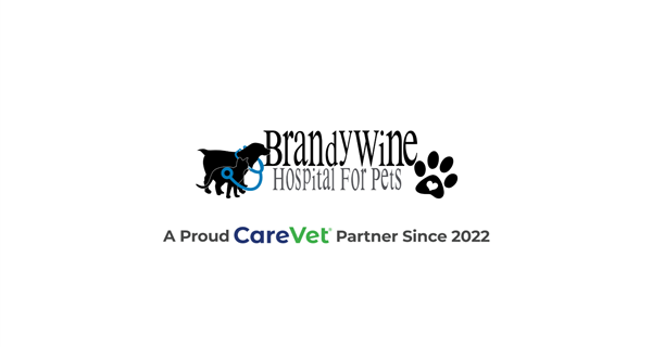 Brandywine Hospital For Pets