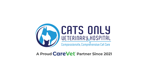 Cats Only Veterinary Hospital
