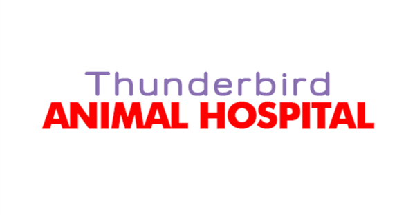 Thunderbird Animal Hospital