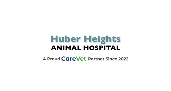 Huber Heights Animal Hospital LLC