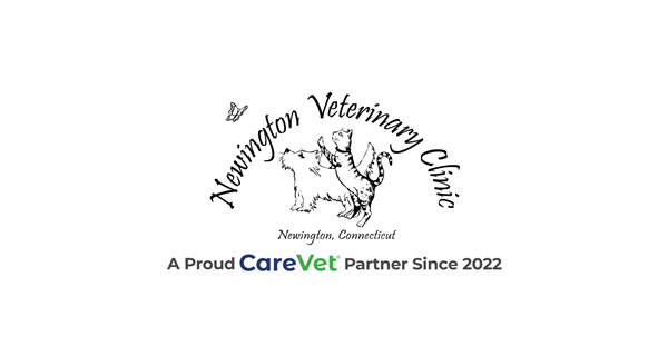 Newington Veterinary Clinic