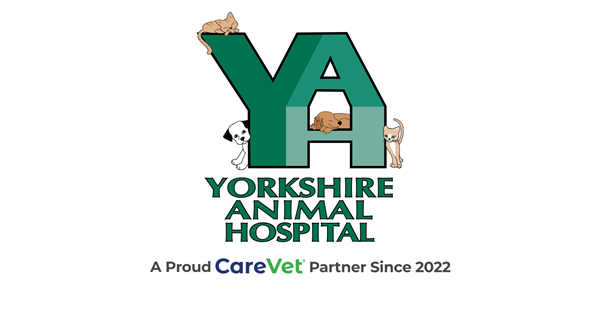 Yorkshire Animal Hospital