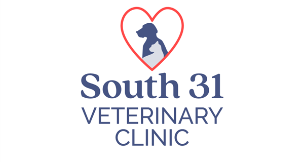 South 31 Veterinary Clinic