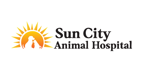 Sun City Animal Hospital 