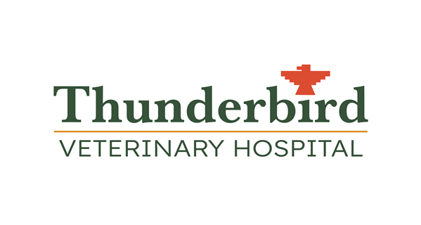 Thunderbird Veterinary Hospital