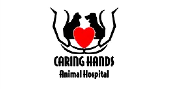 Caring Hands Animal Hospital Live Oak