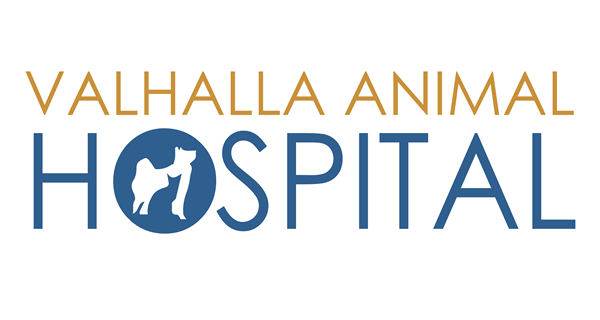 Valhalla Animal Hospital