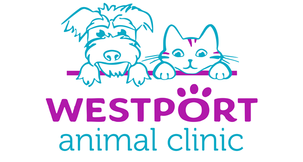 Westport Animal Clinic