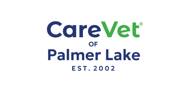 CareVet of Palmer Lake